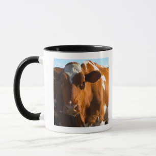Kühe auf Bauernhof Tasse