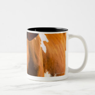Kühe auf Bauernhof Zweifarbige Tasse