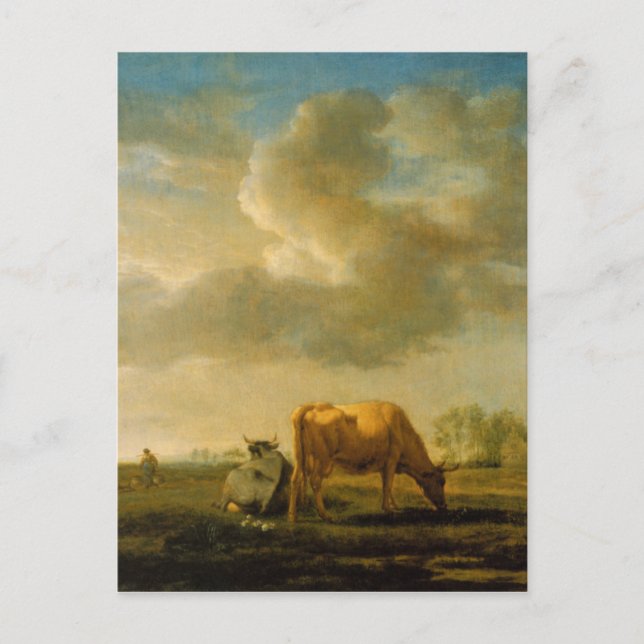 Kühe auf der Wiese von Adriaen van de Velde Postkarte (Vorderseite)