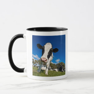 Kühe, die auf Weide 2 füttern Tasse