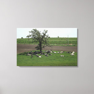 Kühe, die unter einer Baumlandschaft im mittleren  Leinwanddruck
