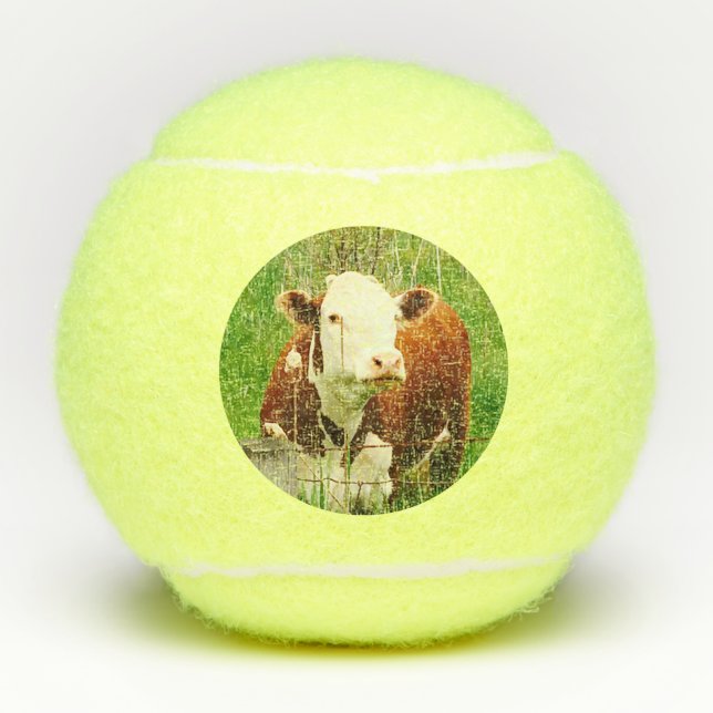 Kühe Hühnerfarm Tiere 4Robin Tennisbälle (Vorderseite)