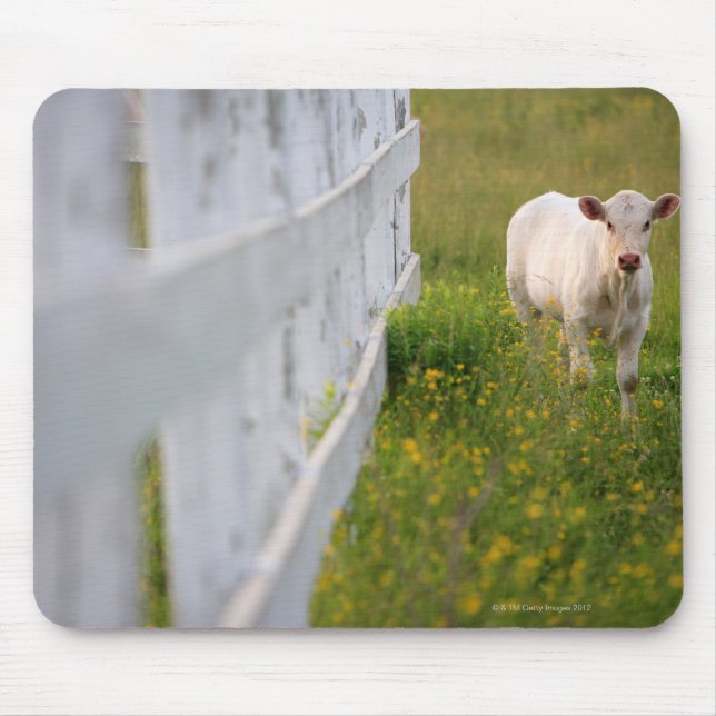 Kühe im Feld Mousepad (Vorne)