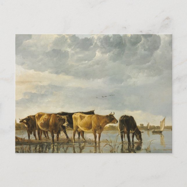 Kühe im Fluss Aelbert Cuyp Postkarte (Vorderseite)