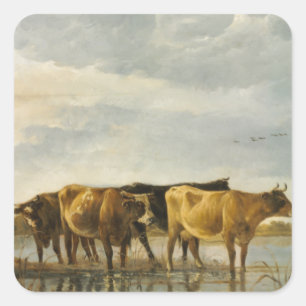 Kühe im Fluss Aelbert Cuyp Quadratischer Aufkleber