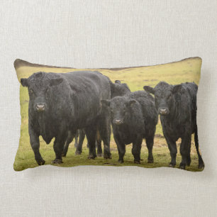 Kühe im Regen Lendenkissen