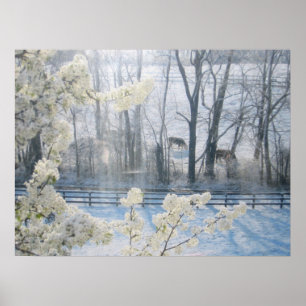 Kühe im Winter Poster