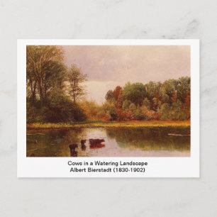 Kühe in einer wasserreichen Landschaft von Albert  Postkarte