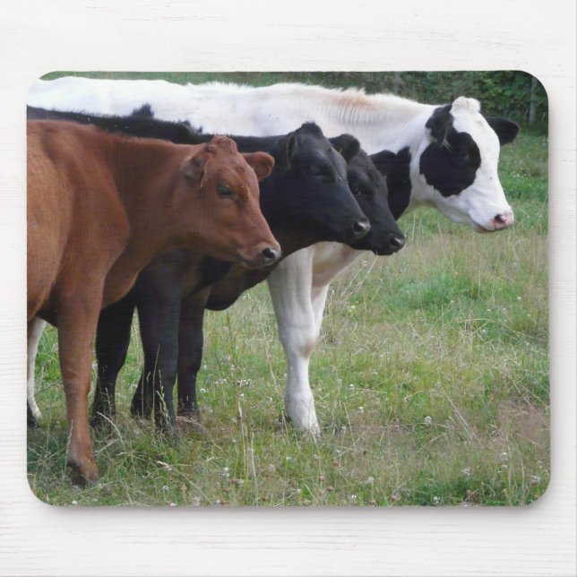 Kühe in Folge Mousepad (Vorne)