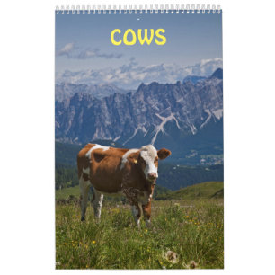 Kühe Kalender