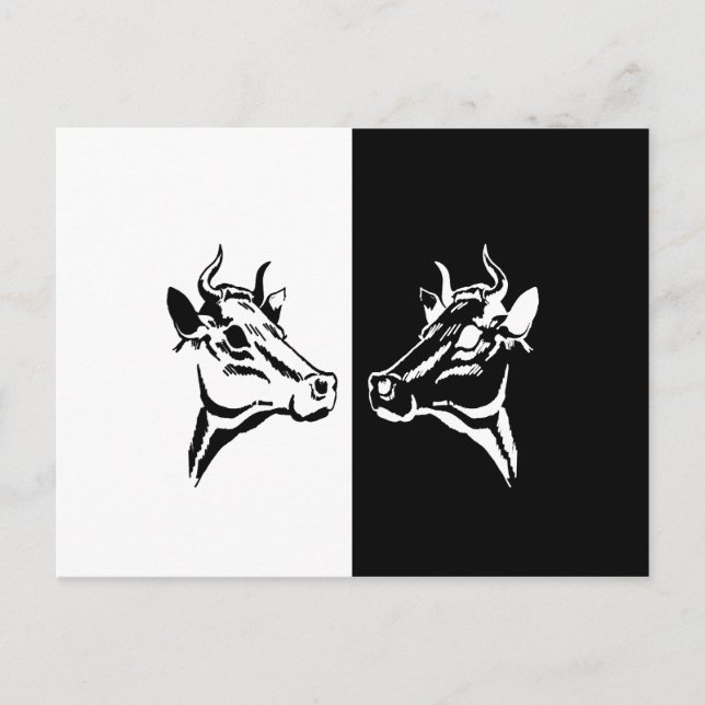 Kühe Postkarte (Vorderseite)