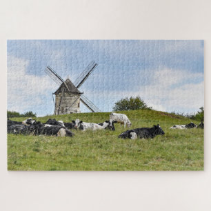 Kühe Rindermühle Windmühle Ackerland Weide