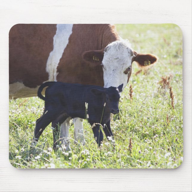 Kühe und Kalb Mousepad (Vorne)