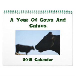Kühe und Kälber - Kalender 2015