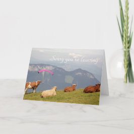 Kühe verlassend Karte