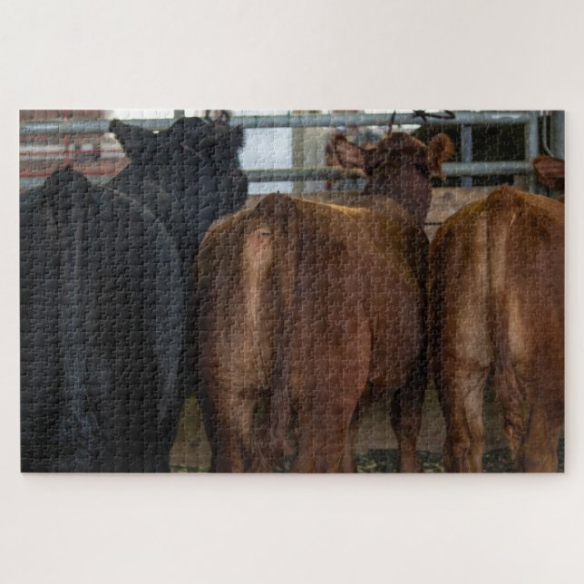 Kühe von hinten (Horizontal)