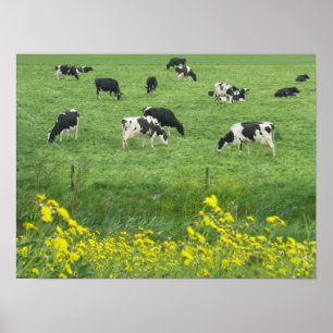Kühe, Wiese und Blumen-Plakat-Druck-Geschenke Poster