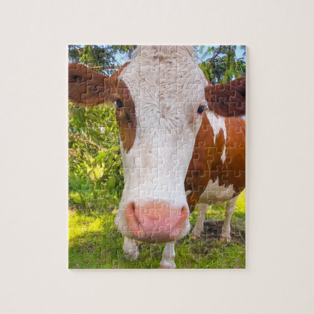 Kuhfarm tierisches Foto (Vertikal)
