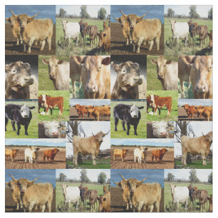 Kuhfoto-Collage, Stoff