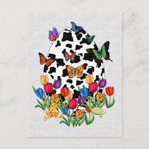 Kuhhauteier Feiertagspostkarte