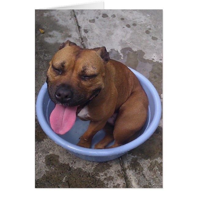 Kühlen Sie sich an einem heißen Tag ab! (Vorne)