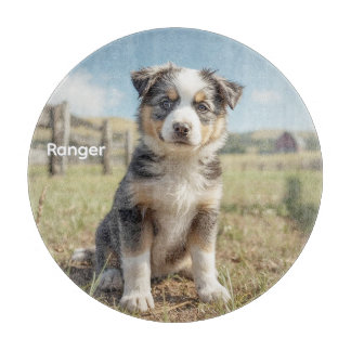 Kühler Cattle Dog Personalisiertes Glas Schneidebrett