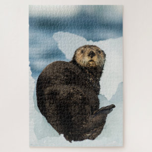 Kühler Seeotter