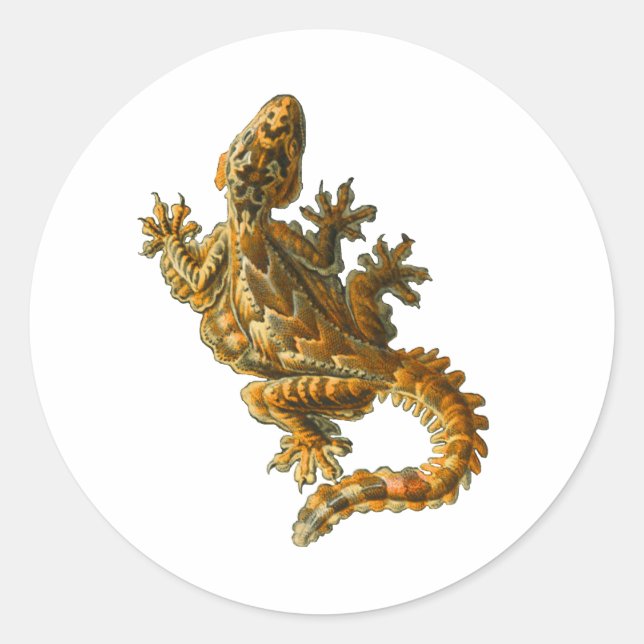 Kuhls fliegender Gecko Runder Aufkleber (Vorderseite)