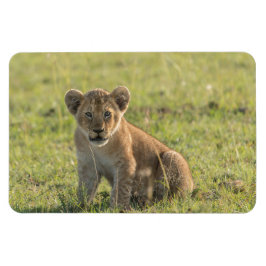 Kühlschrank-Bildvorlage 4 x 6 Magnet