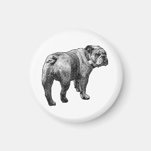 Kühlschrank Bulldogge, sanfte Wache Magnet
