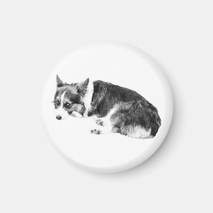 Kühlschrank Corgi, ruhige Ecke Magnet