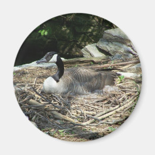 "Kühlschrank Goose Magnet