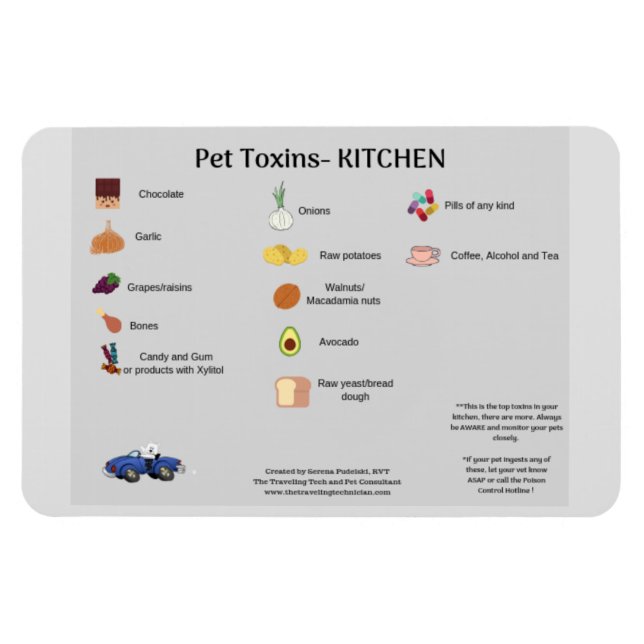 KÜHLSCHRANK MAGNET FÜR DIE SICHERHEIT VON PET MIT  (Horizontal)