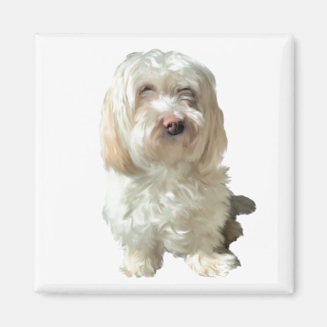 Kühlschrank Magnet Havanese Dog (Vorne)