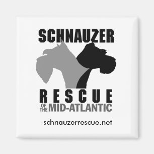 Kühlschrank-Magnet Magnet