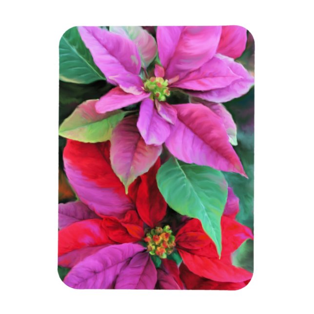 Kühlschrank Magnet Pink & Red Poinsettias (Vertikal)