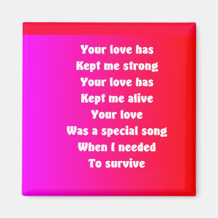 Kühlschrank-Magnete Magnet