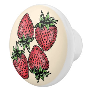 Kühlschrank Schubladen Makeover 4 Erdbeeren Keramikknauf