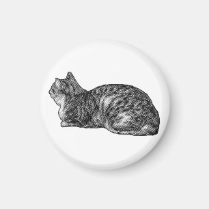 Kühlschrank Tabby, Paws Tucked Magnet