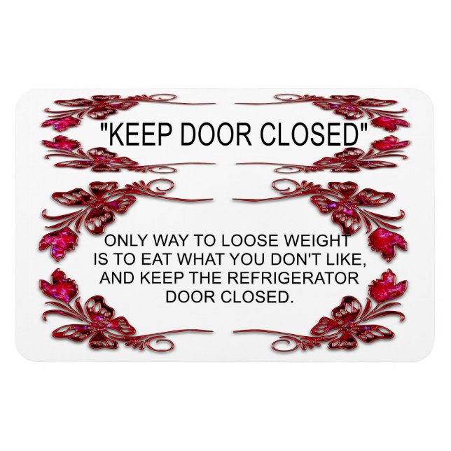 KÜHLSCHRANK TÜR MAGNET (Horizontal)