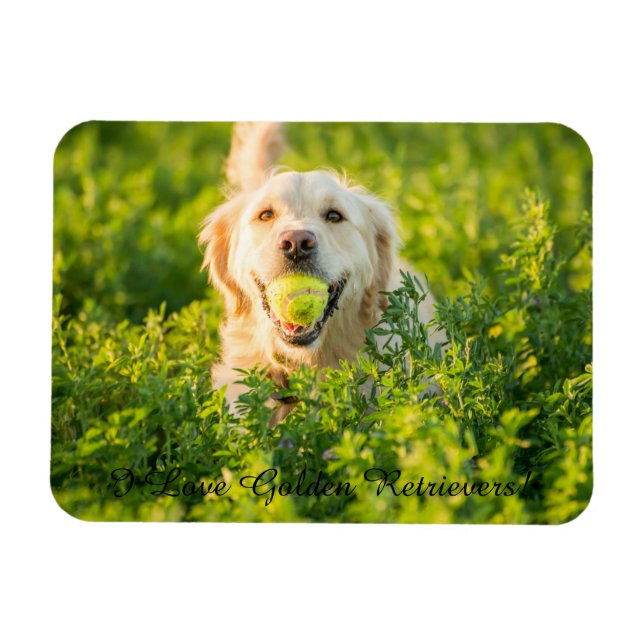 Kühlschrankmagnet mit Golden Retriever und Slogan Magnet (Horizontal)