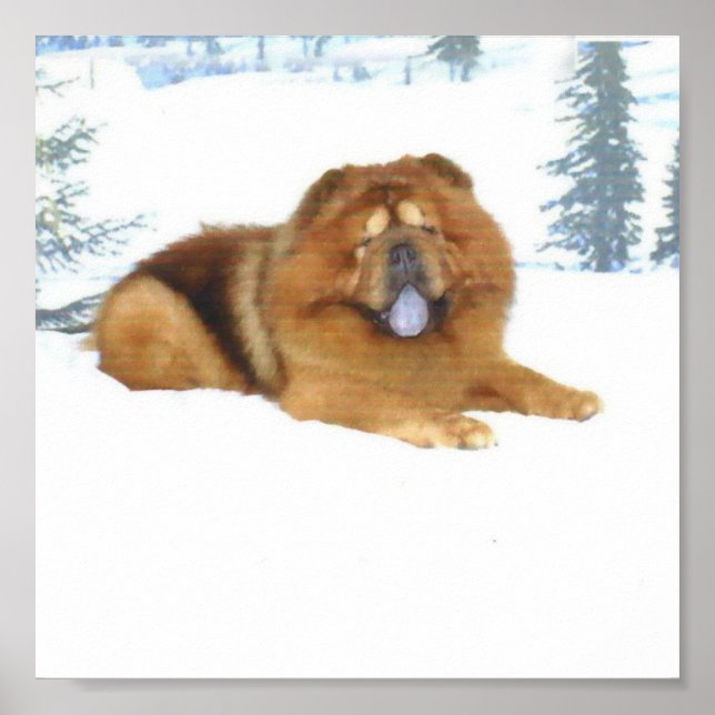 Kühlung im knackigen Schnee Poster (Vorne)
