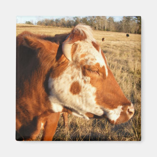 Kuhmagnet: Extravagant Magnet