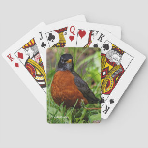Kühne, neugierige Amerikanerin Robin im Grünen Spielkarten