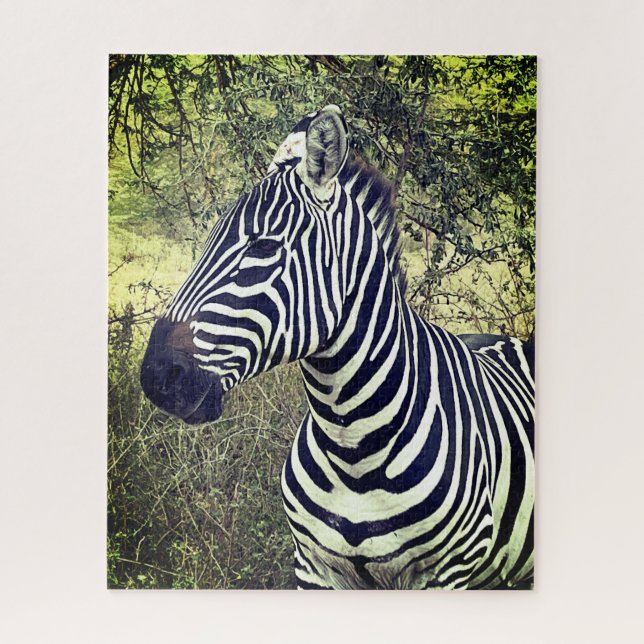 Kühne schöne Schwarz und Weiß Zebra Kenya (Vertikal)