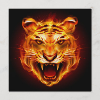 kühne Tiger-Einladung - SRF Einladung