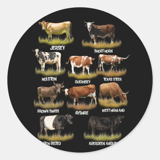 Kuhrassen Retro-Bauer Rindfleisch und Milcherzeugn Runder Aufkleber (Vorderseite)