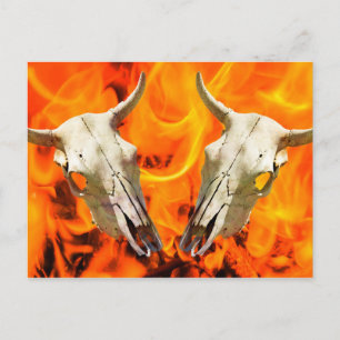 Kuhschädel und -feuer postkarte