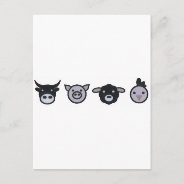 Kuhschaf Postkarte (Vorderseite)