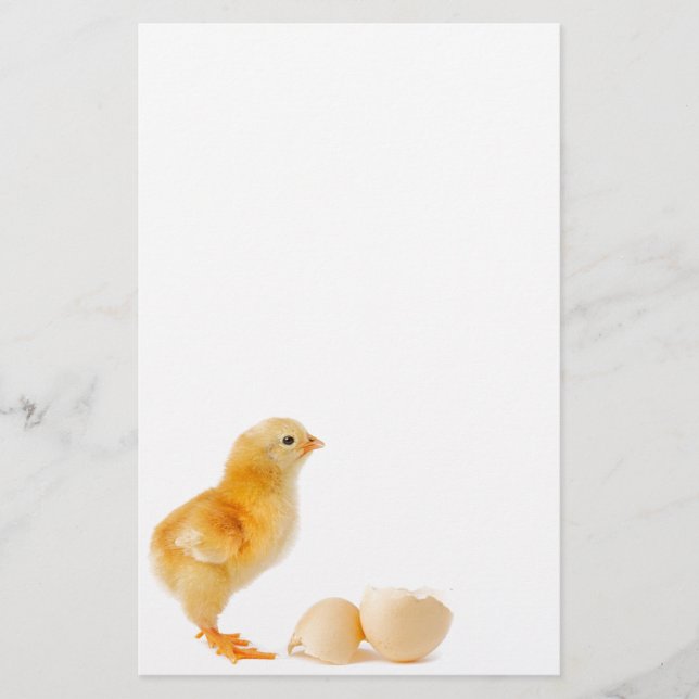Küken Briefpapier (Vorderseite)